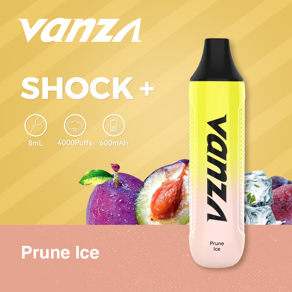 Vanza Shock+ Rechargeable Disposable Vape Plum Ice